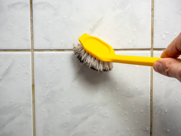 Best Mold Removal Near Me  in Upper Montclair, NJ