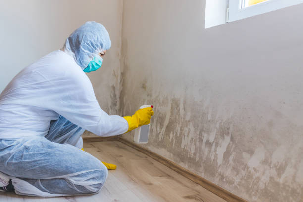 Best Crawl Space Mold Removal  in Upper Montclair, NJ
