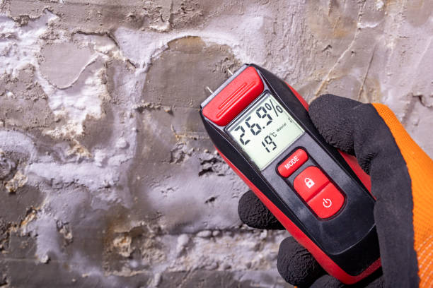 Trusted Upper Montclair, NJ Mold Removal Experts
