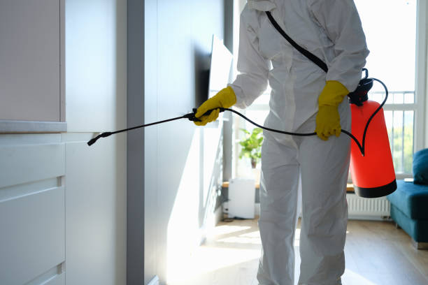 Water Damage Restoration in Upper Montclair, NJ