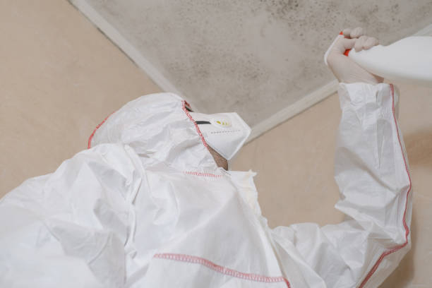 Mold Testing and Removal in Upper Montclair, NJ